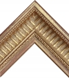 ANELLO COA